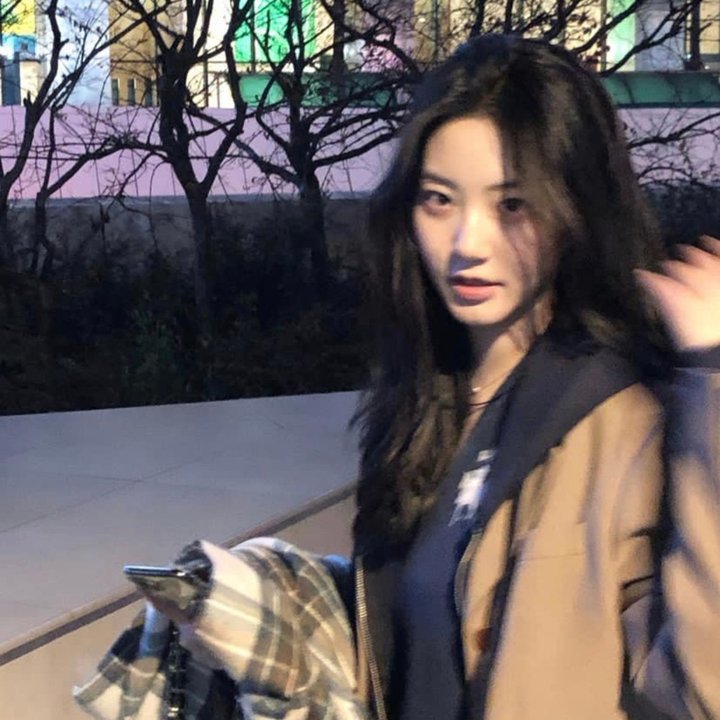 科搜研之女第24季